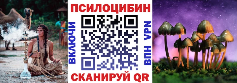 Галлюциногенные грибы Psilocybine cubensis  где найти наркотики  Елец 